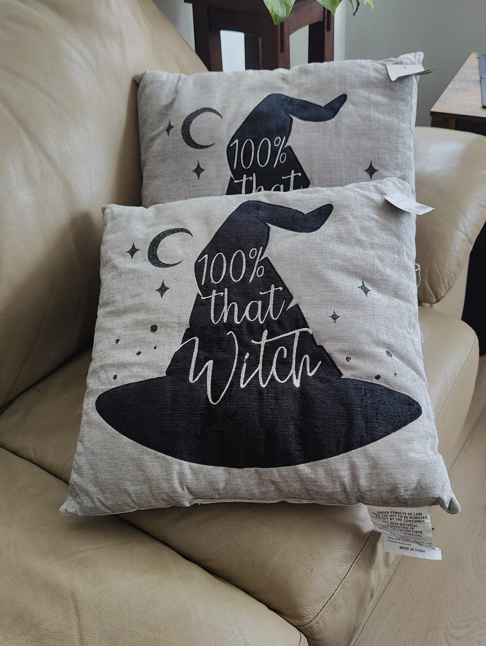 Halloween Decor Set of 2 Gothic 100% That Witch Throw Pillows